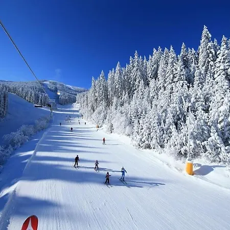 Διαμέρισμα Dream Mountain 1bd With Fireplace Μπάνσκο